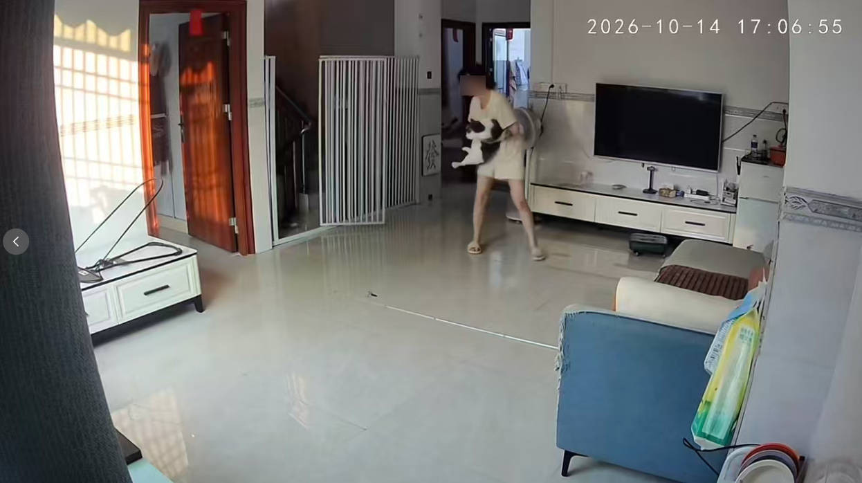 被猫踹一脚竟致黄体囊肿破裂 医生提醒女性经期后半段护好腹部