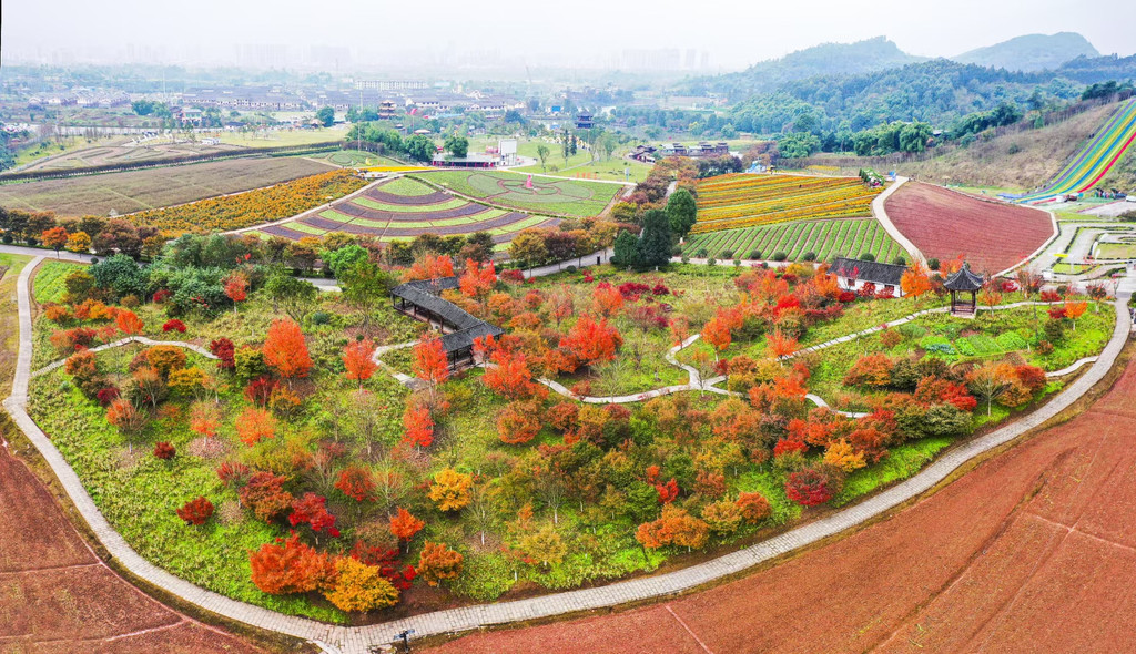 重庆更新城市公园秋冬观花赏叶地图254处点位128种植物