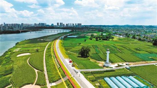 重庆4条公路上榜全国“2026年度美丽公路” 串起山水文旅