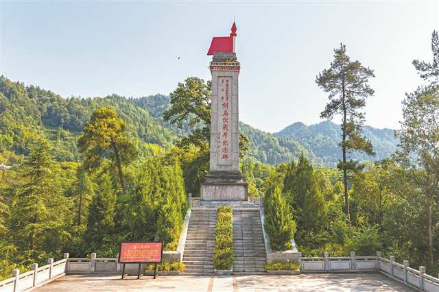 秀山坝芒村山银花产业致富记 红色土地孕育绿色富民产业