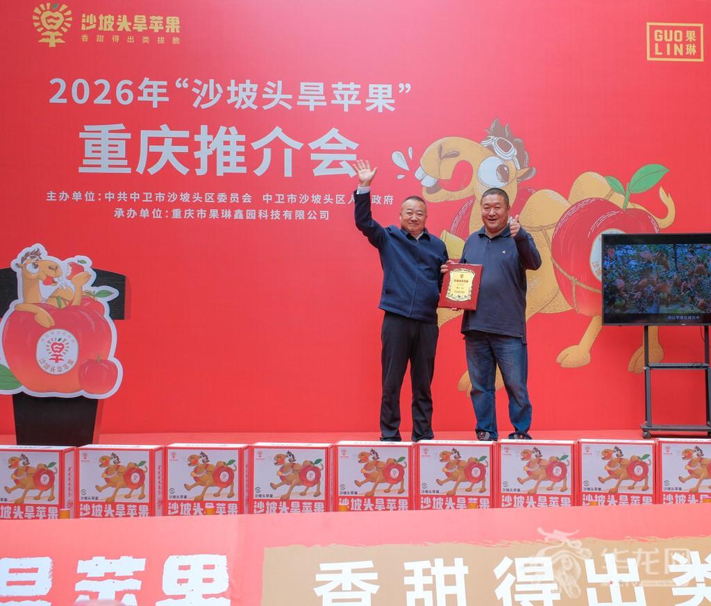 宁渝产销协作再深化 沙坡头旱苹果推介会亮相重庆常态化销售
