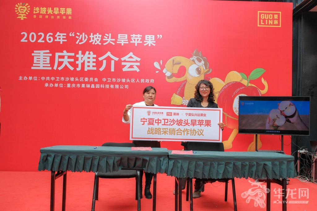 宁渝产销协作再深化 沙坡头旱苹果推介会亮相重庆常态化销售