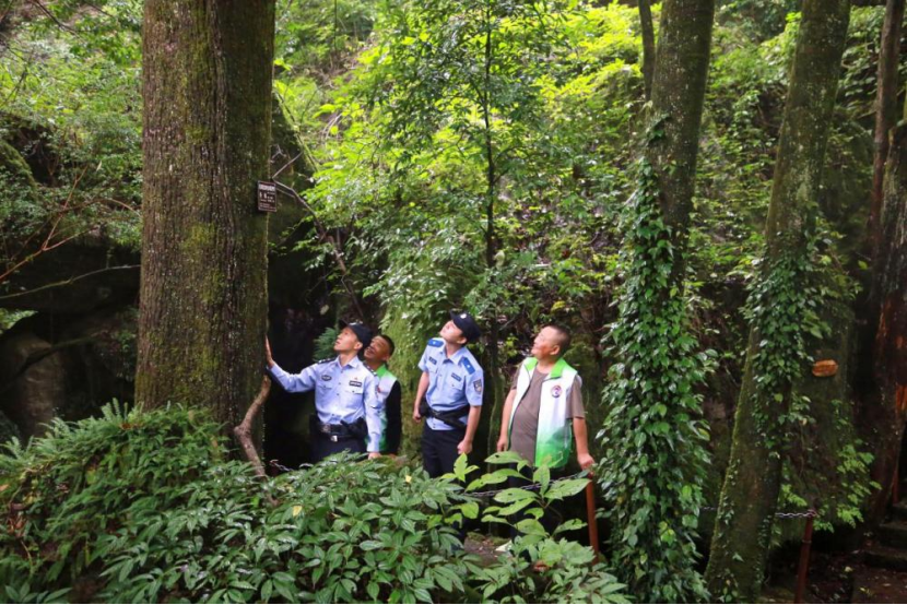南川三泉派出所打造“山林型”生态警务 守护金佛山绿色防线