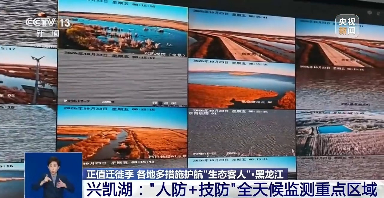 候鸟南迁进入高峰 各地用AI监测、环志“飞行护照”守护迁徙通