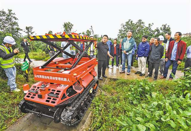 12个农业项目获重庆市科技进步奖 种源依山造机全链增值三条主