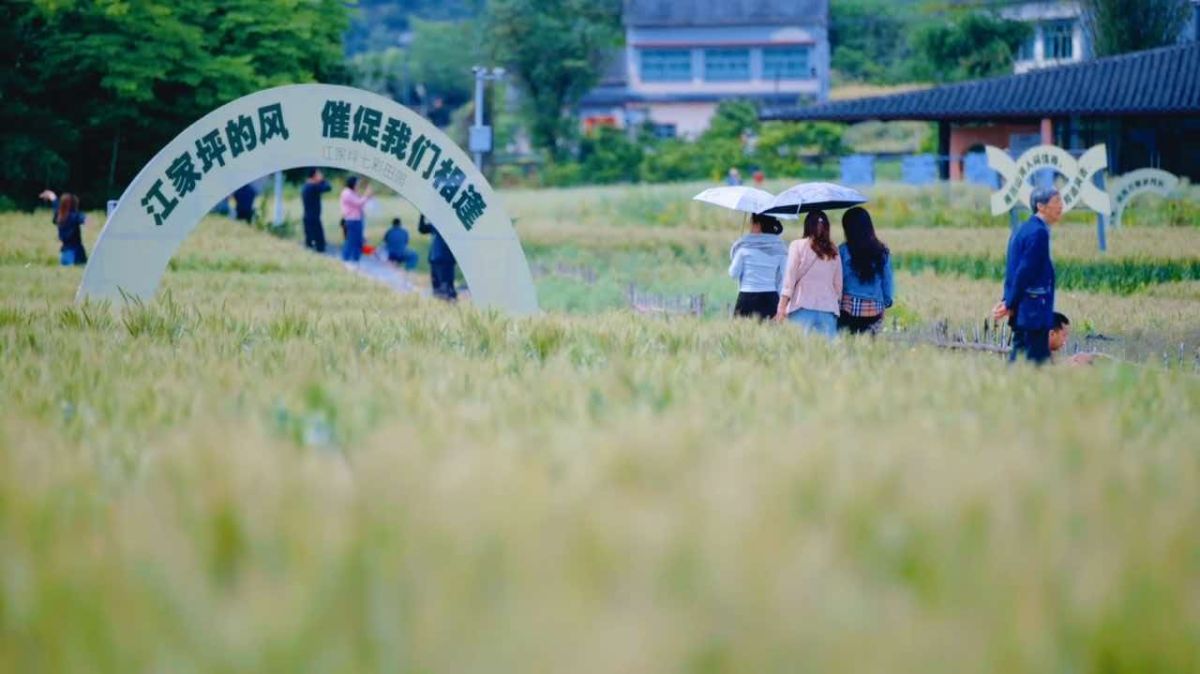 璧山七塘空心村艺术逆生长 老屋焕新迎客来