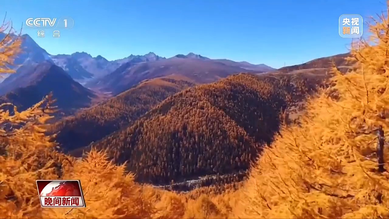层林尽染多地迎来最佳赏秋季 普达措措普沟红岩岭秋色正浓