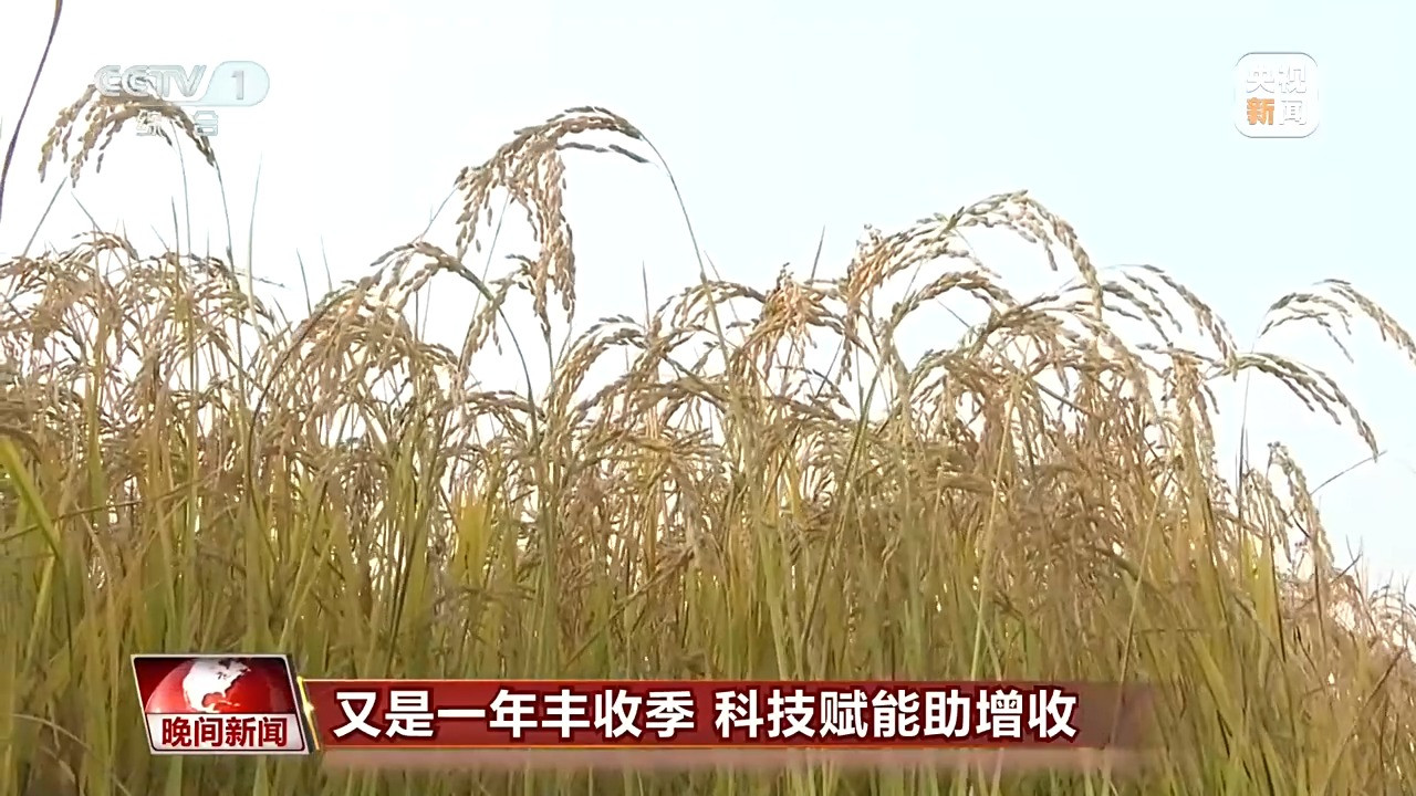 南果北种荒滩养蟹 科技赋能多地金秋丰收交出新答卷
