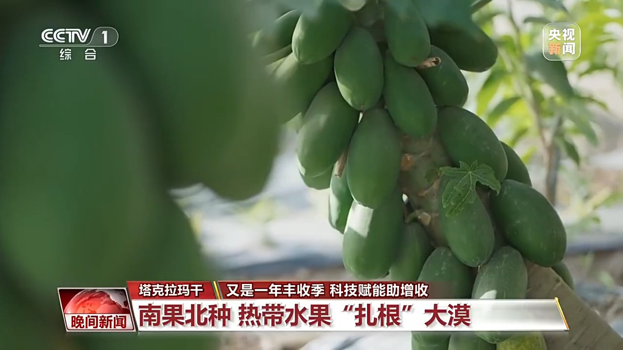 南果北种荒滩养蟹 科技赋能多地金秋丰收交出新答卷
