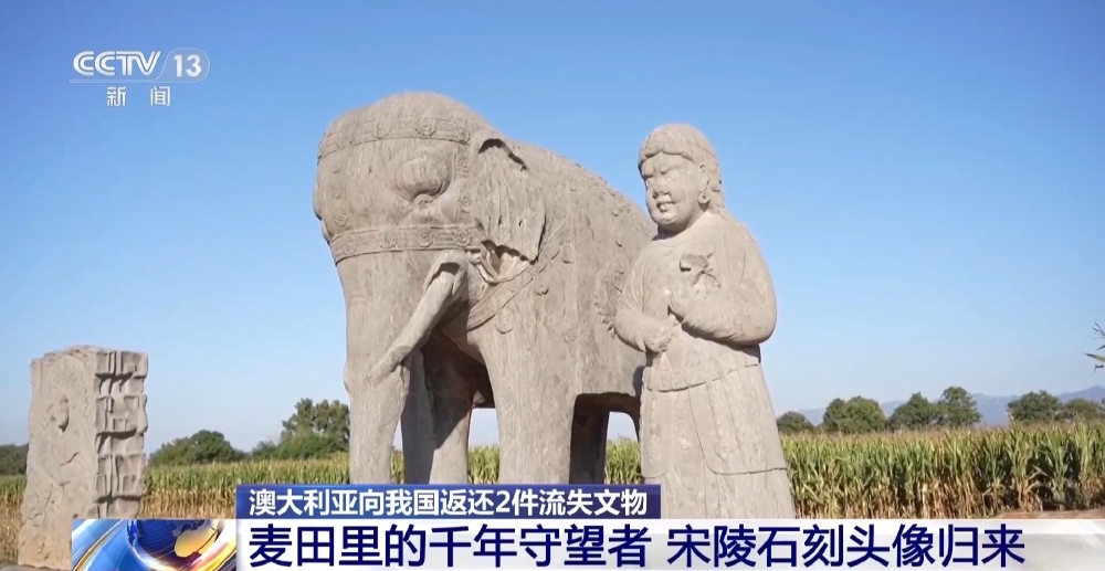 宋陵石刻头像三十年后归来 两件北宋陵墓石像回家