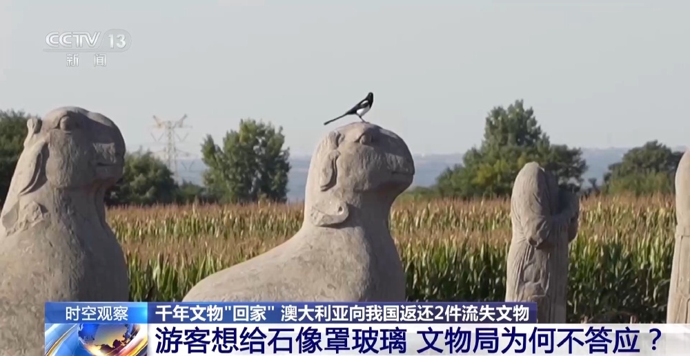 澳大利亚返还2件宋陵石刻头像 巩义宋陵坚持不罩不修不搬守护千