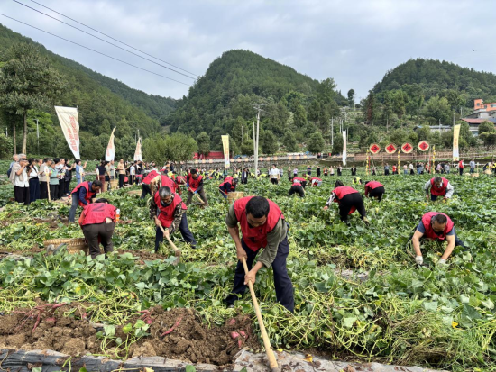 武隆2026年中国农民丰收节启幕 农事竞技文旅集市礼赞耕耘硕