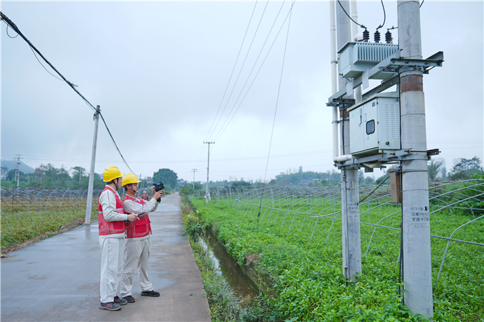 国网合川供电公司靠前服务 满格电力护航蔬菜基地菜篮子